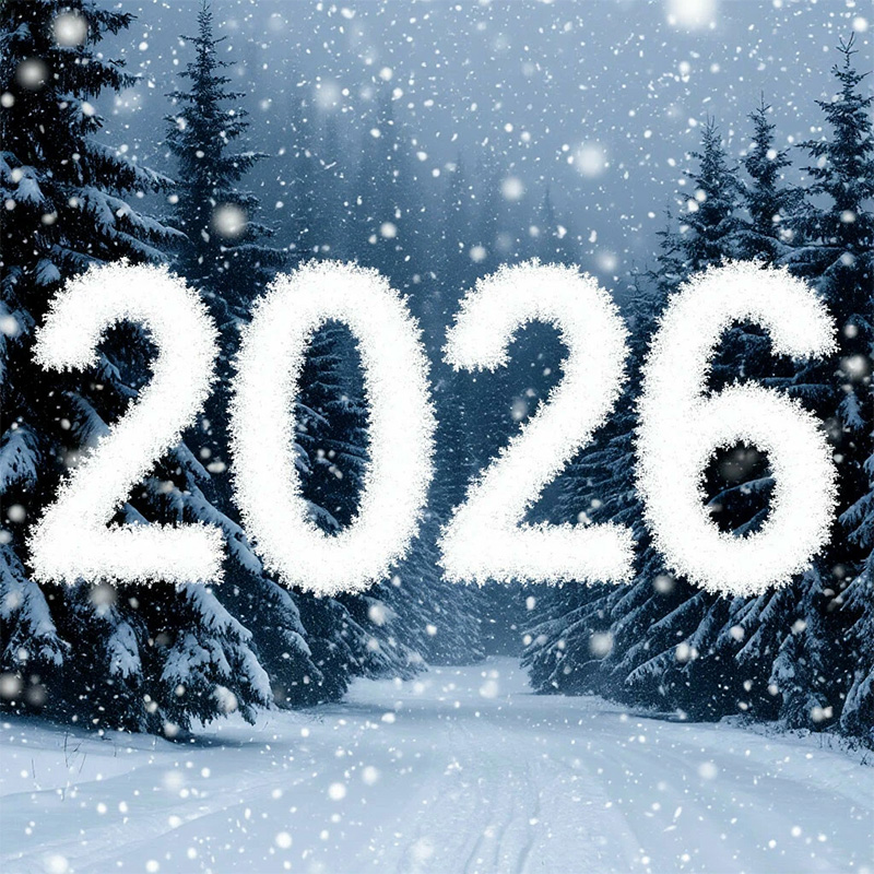 Поздравляем с Новым 2026 годом!